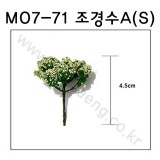 [모형나무]M07-71 조경수A형S(2그루)