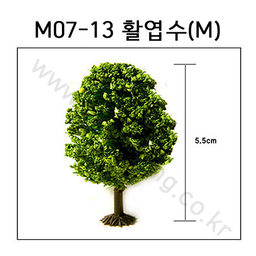 [모형나무]M07-13 활엽수M(1그루)