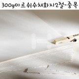 [배송제한][CANSON]300g 아르쉬수채화지2절(20호P형) - 중목(COLD PRESSED)