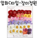[압화공예]압화C타입 - 장미정원 꽃모음(누름꽃/말린꽃)