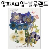 [압화공예]압화A타입 - 블루랜드 꽃모음(누름꽃/말린꽃)_2개남음