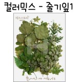 [압화공예]컬러믹스 - 줄기잎1 꽃모음(누름꽃/말린꽃)