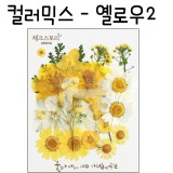 [압화공예]컬러믹스 - 옐로우2 꽃모음(누름꽃/말린꽃)