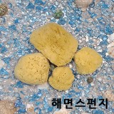 [홀아트] 천연 해면스펀지 (coarse : 거친) W82-21