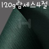 [파피루스무늬지]120g람세스4절