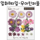 [압화공예]압화B타입 - 우아한퍼플 꽃모음(누름꽃/말린꽃)_4개남음