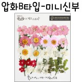[압화공예]압화B타입 - 미니신부 꽃모음(누름꽃/말린꽃)