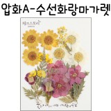 [압화공예]압화A타입 - 수선화랑마가렛 꽃모음(누름꽃/말린꽃)_4개남음