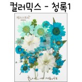 [압화공예]컬러믹스 - 청록1 꽃모음(누름꽃/말린꽃)
